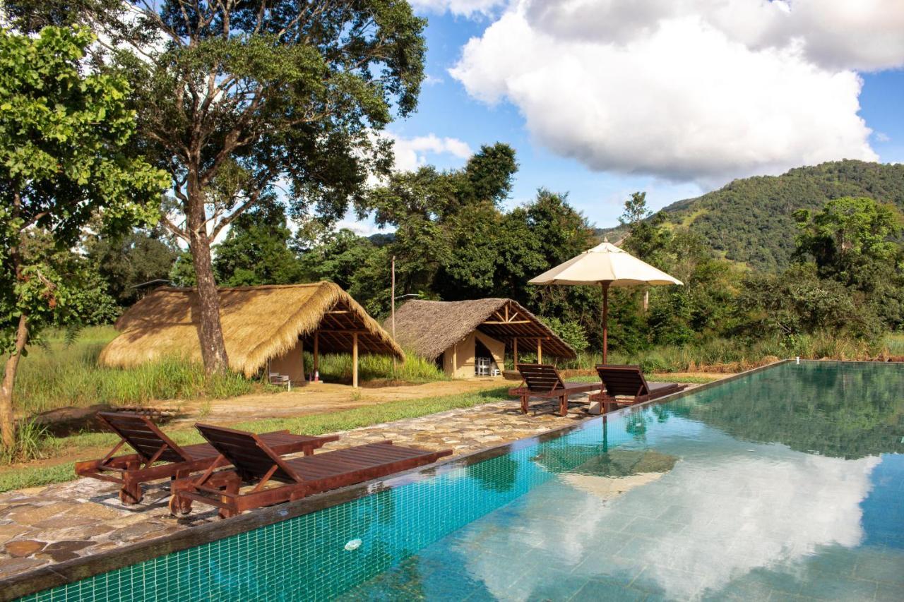 Wild Glamping Gal Oya - Thema Collection Hotell Galgamuwa  Exteriör bild
