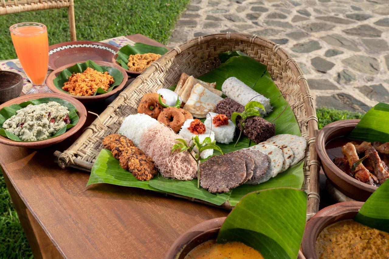 Wild Glamping Gal Oya - Thema Collection Hotell Galgamuwa  Exteriör bild